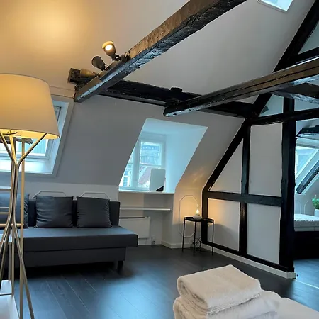 Designer Loft - Direct Marble Church Views Apartment Copenhagen
