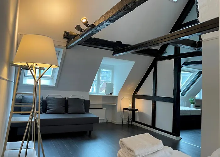 Designer Loft - Direct Marble Church Views Apartment Copenhagen