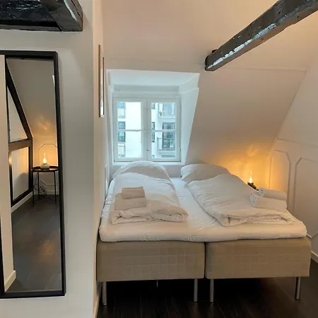 Designer Loft - Direct Marble Church Views 哥本哈根