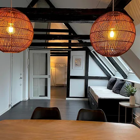 公寓 Designer Loft - Direct Marble Church Views 哥本哈根