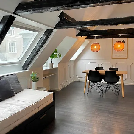Designer Loft - Direct Marble Church Views 哥本哈根